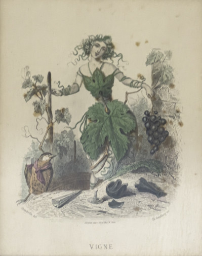 Honoré Daumier and Others - Wine and Grapes Editions, Group of 3