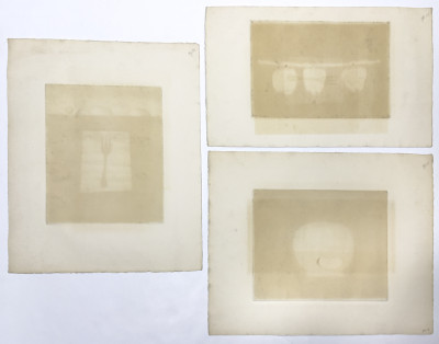 Tomoe Yokoi - Fruits and Vegetables, 3 prints