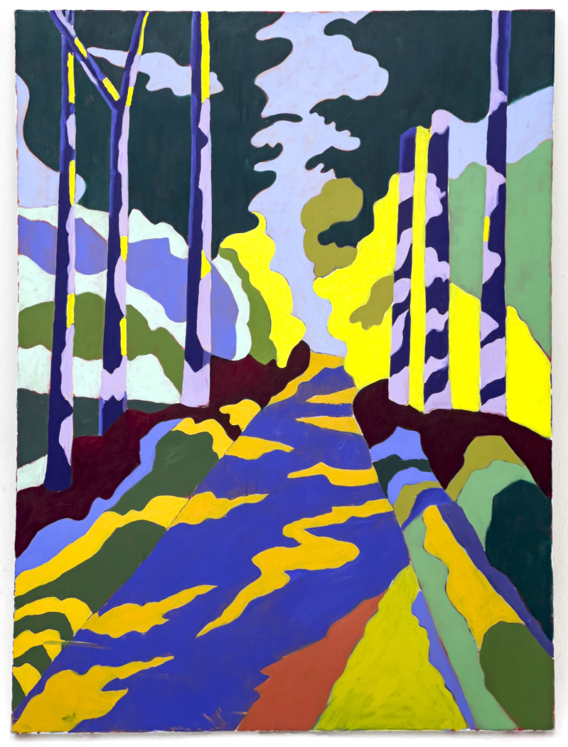 Janet Cooling - Untitled (Forest Path)