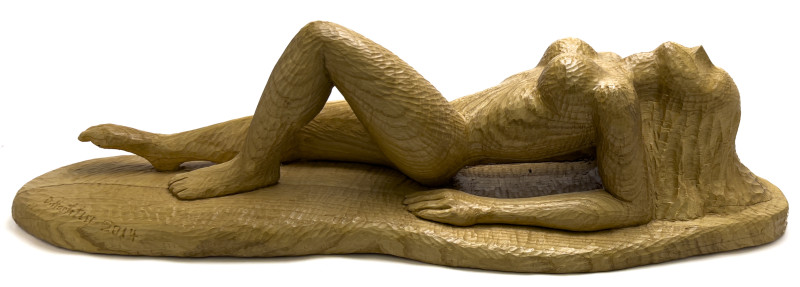 David Hostetler - Robin