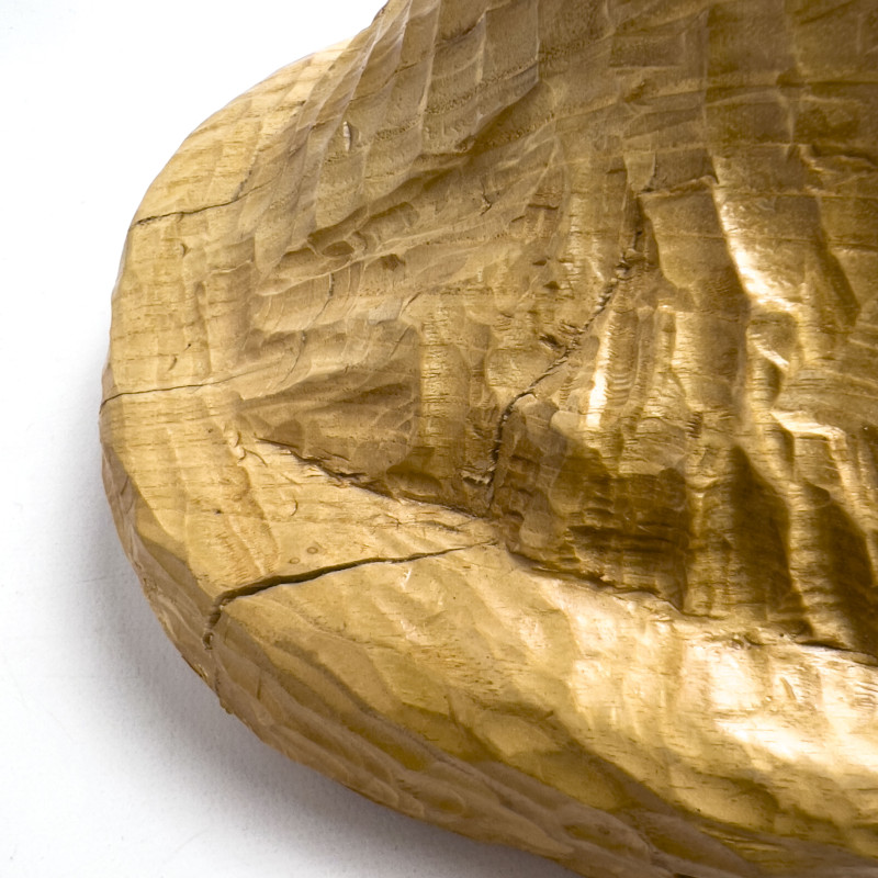 David Hostetler - Robin