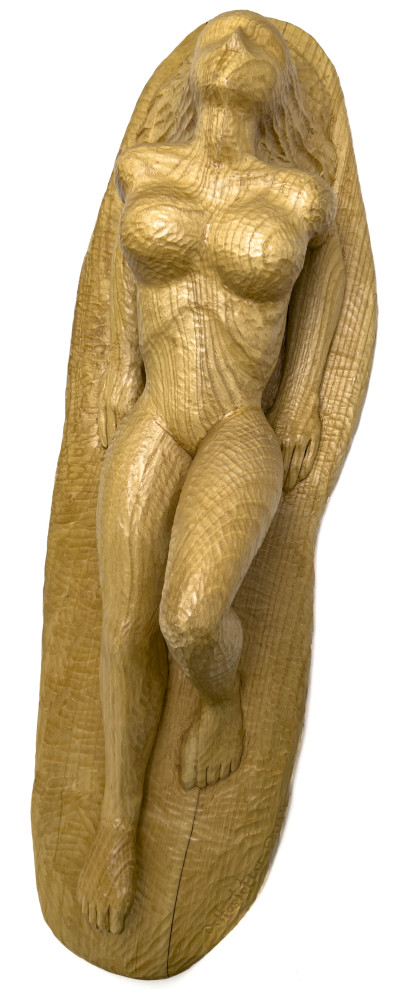 David Hostetler - Robin