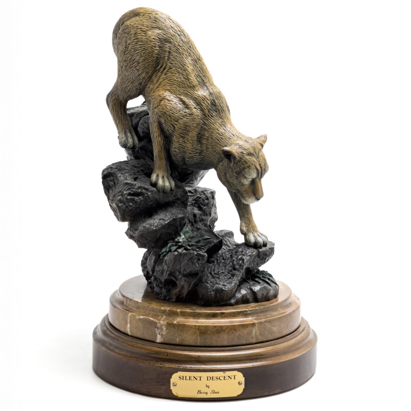 Barry Stein - Silent Descent