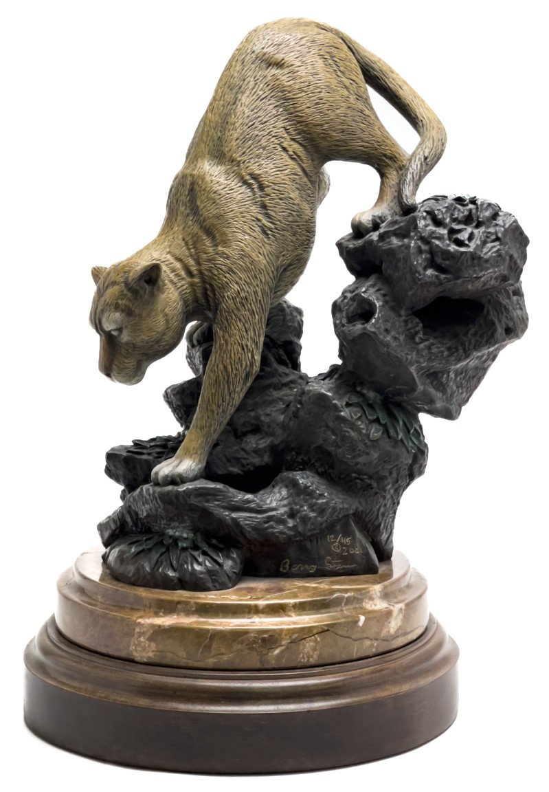 Barry Stein - Silent Descent