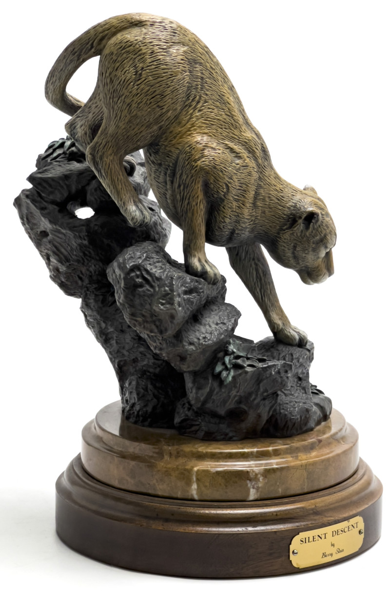 Barry Stein - Silent Descent