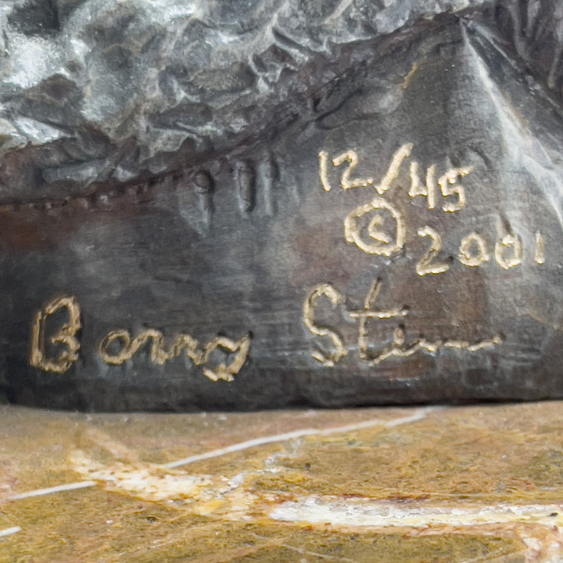 Barry Stein - Silent Descent