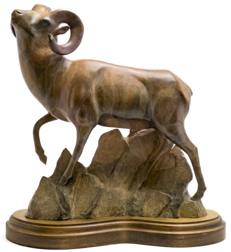 Robert Deurloo - Bighorn Ram