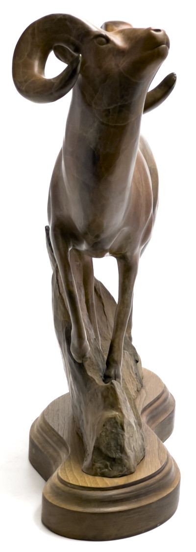 Robert Deurloo - Bighorn Ram