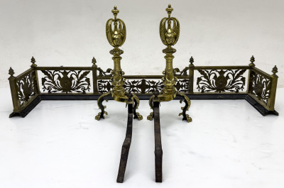 Brass Andirons and Fire Fender