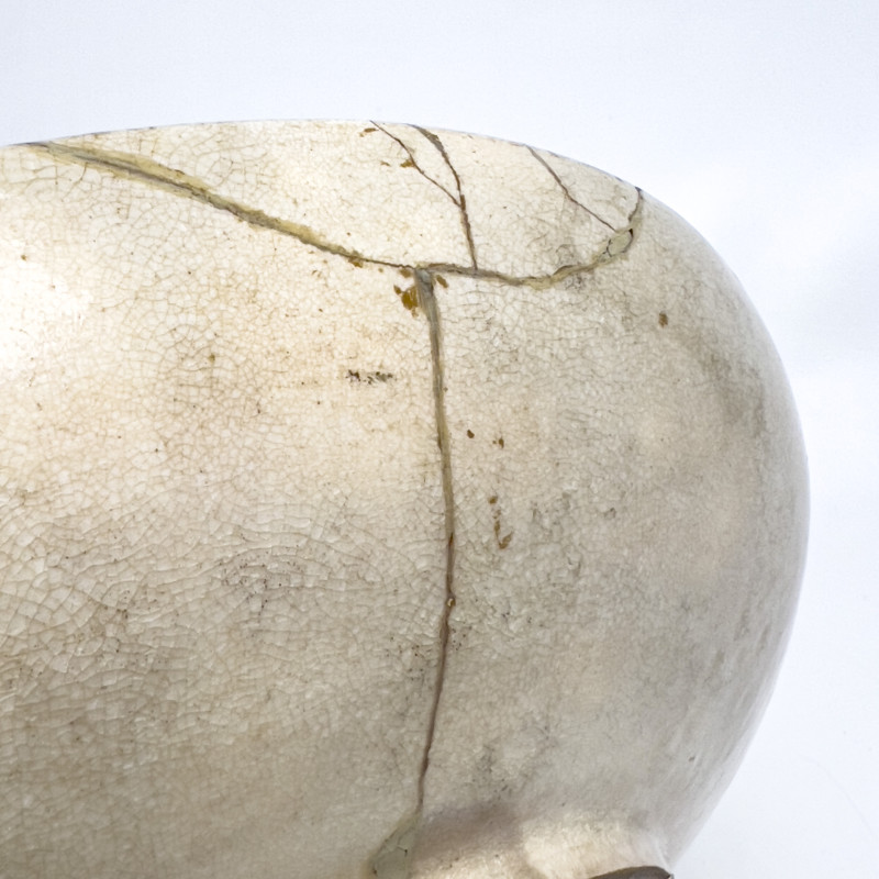 Japanese Satsuma Charger