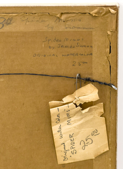 Unknown Artist - Spider Mums