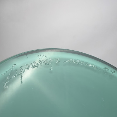 Toots Zynsky - Folto for Venini