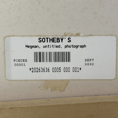 William Wegman - Rangeley, Maine