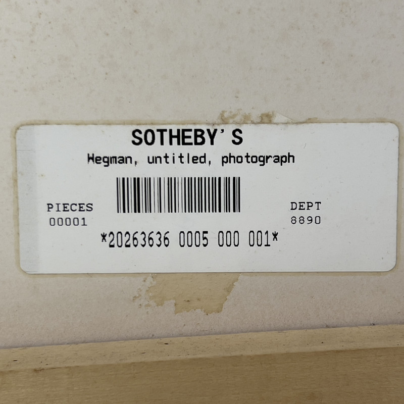 William Wegman - Rangeley, Maine