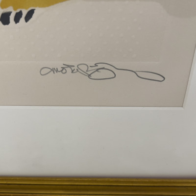 Oi Motoi - White Spot Cat