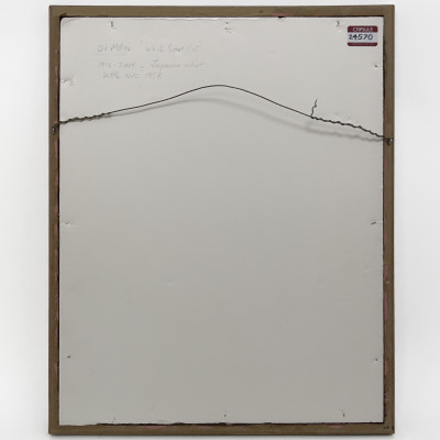 Oi Motoi - White Spot Cat