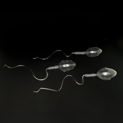 Image for Lot Luke Jerram - Spermatazoa