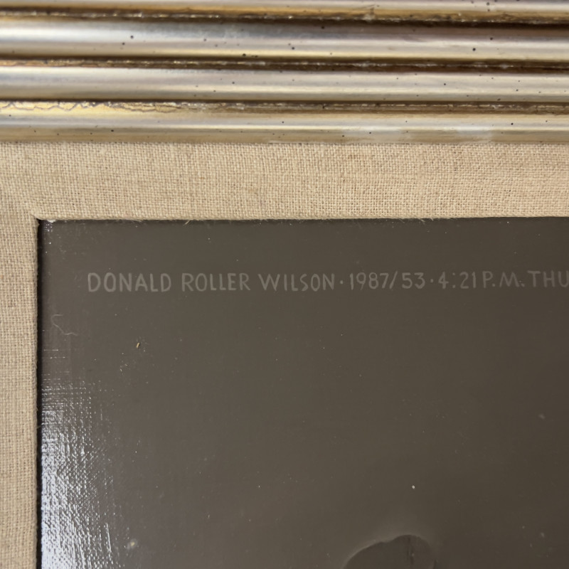 Donald Roller Wilson - Patricia - She Had Seen Them Before