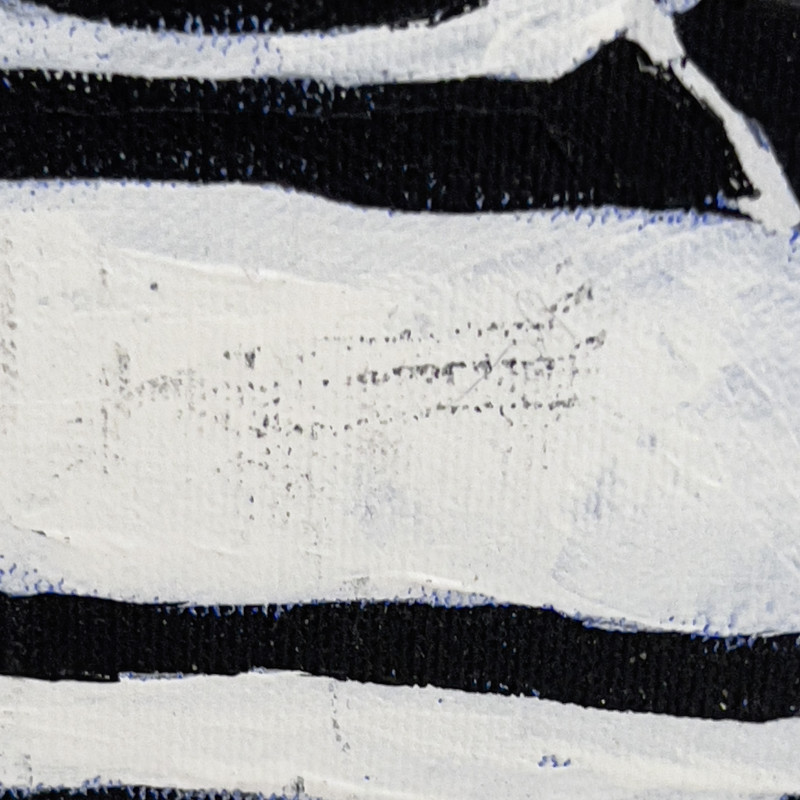 Janet Cooling - Untitled (Black &amp; White Forest)