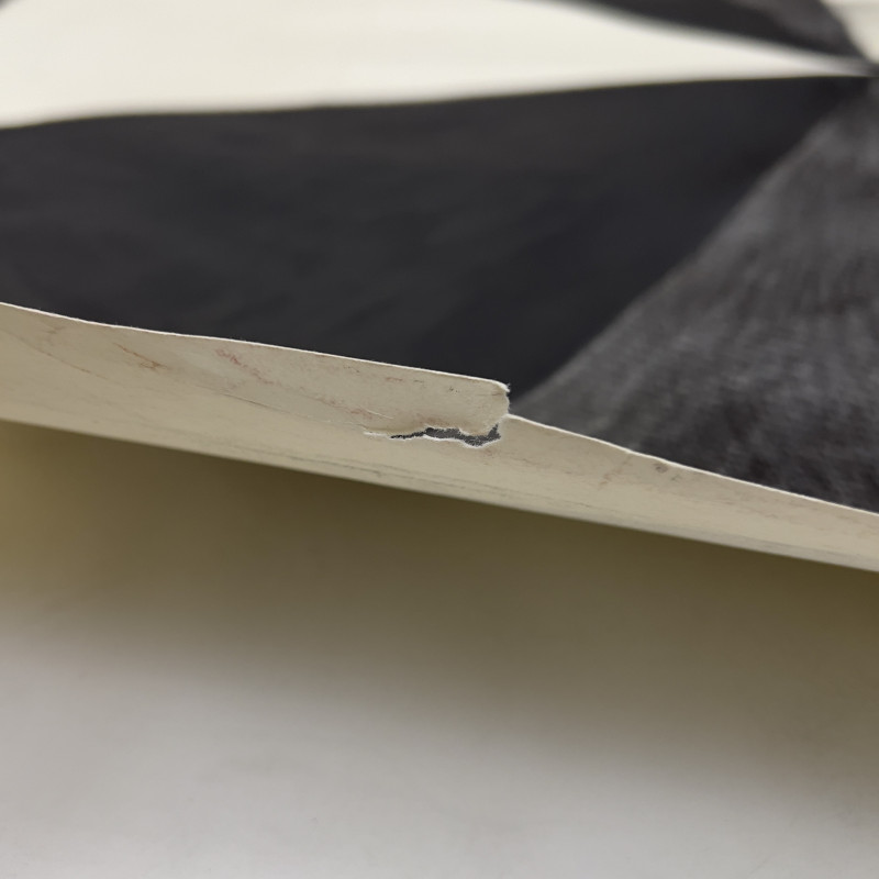 Lowell Nesbitt - Mr N Standing