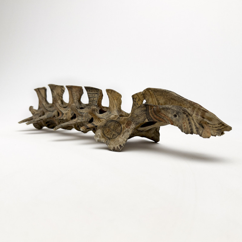 Tribal Painted Vertebrae