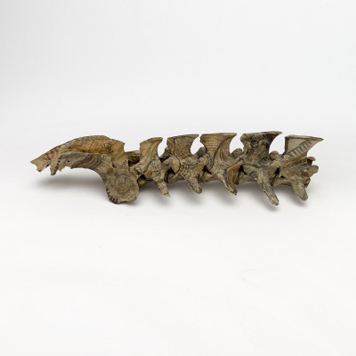 Tribal Painted Vertebrae