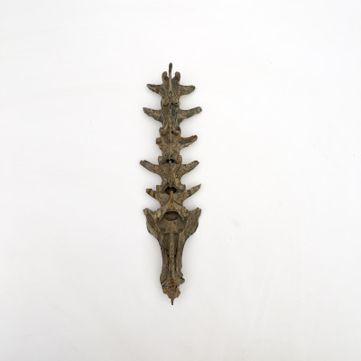 Tribal Painted Vertebrae