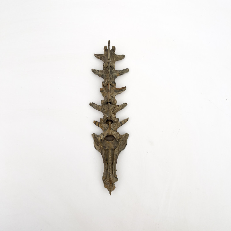 Tribal Painted Vertebrae