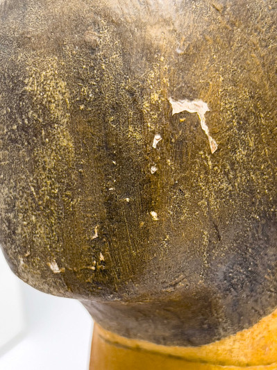 Gemma Taccogna and Others - Paper Mache Busts, Group of 6