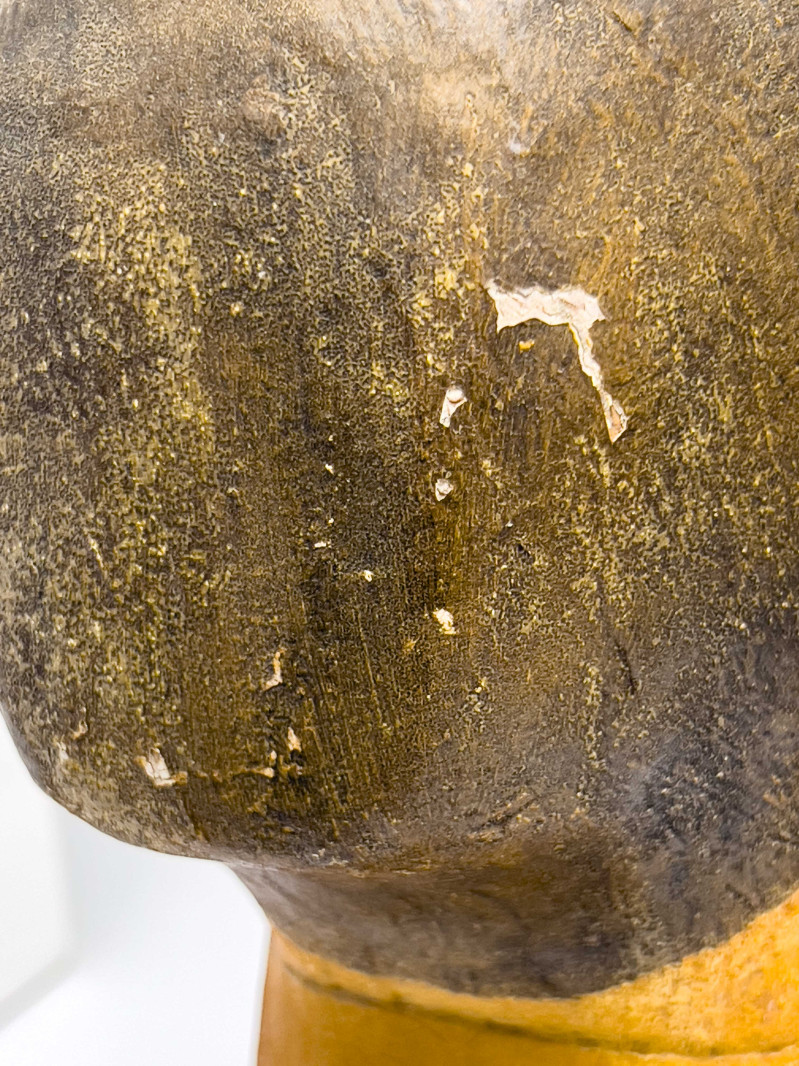 Gemma Taccogna and Others - Paper Mache Busts, Group of 6