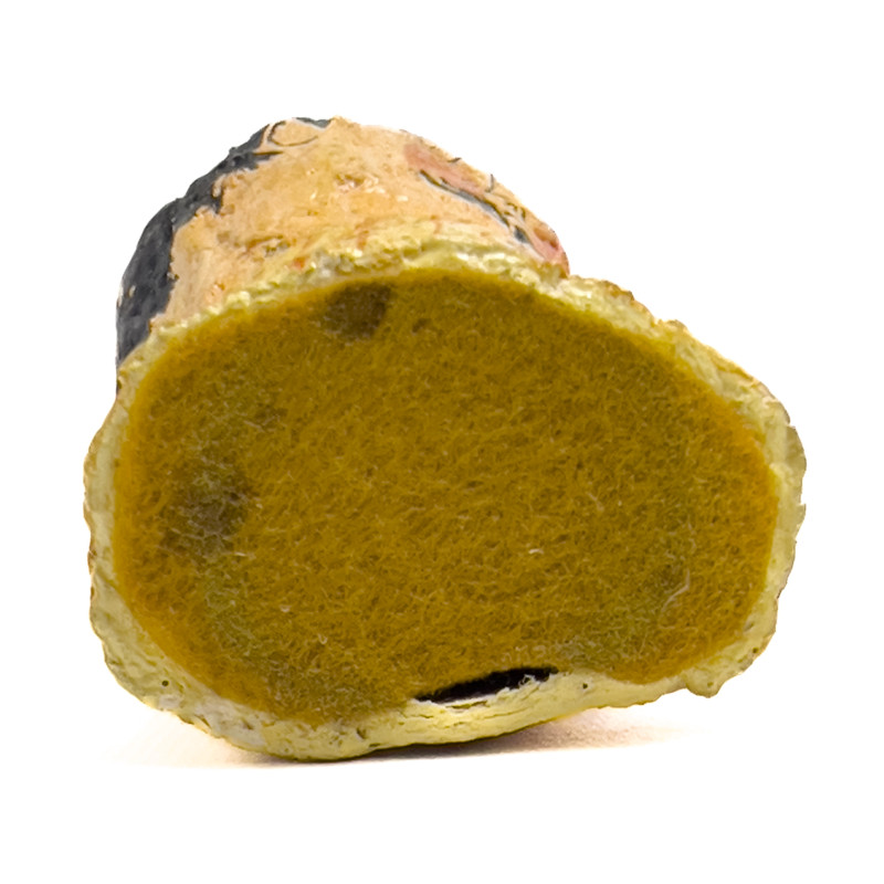 Gemma Taccogna and Others - Paper Mache Busts, Group of 6