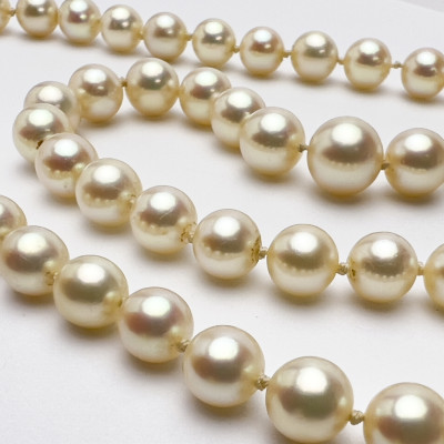 Mikimoto Style Graduated Pearl Necklace