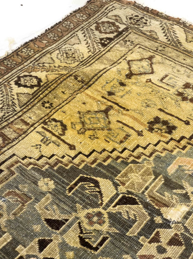 Persian Malayer Runner