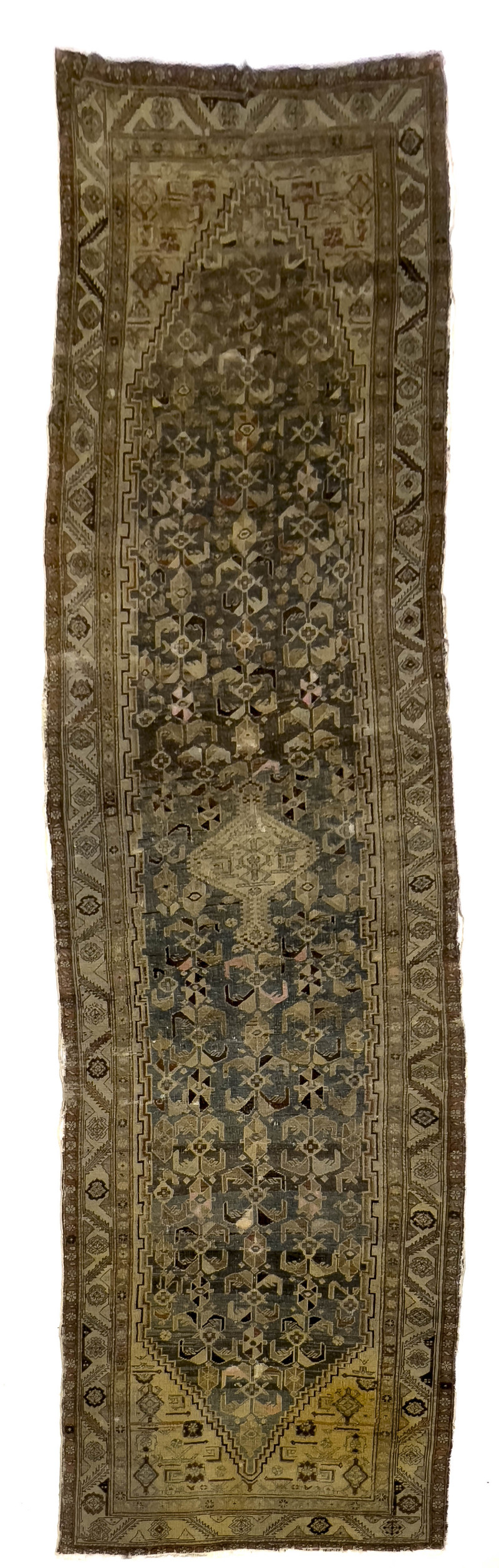 Persian Malayer Runner