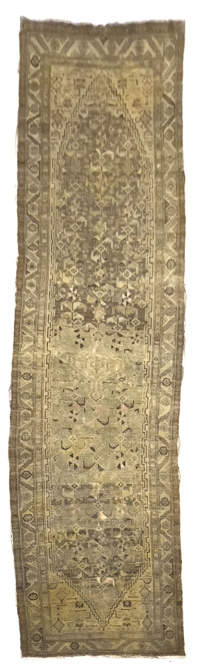 Persian Malayer Runner