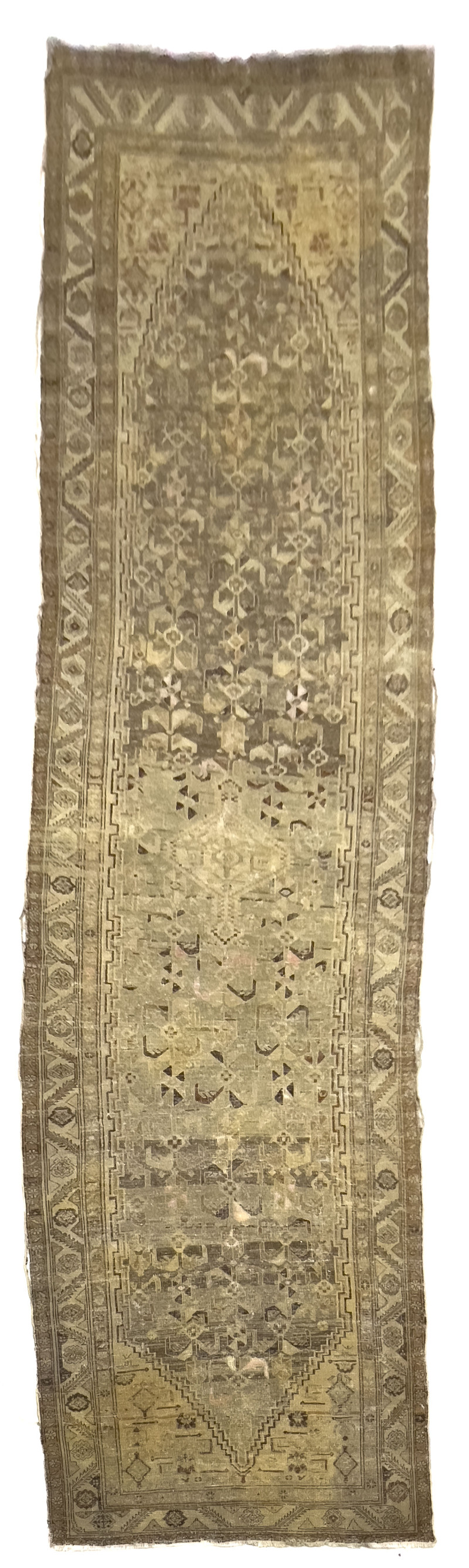 Persian Malayer Runner