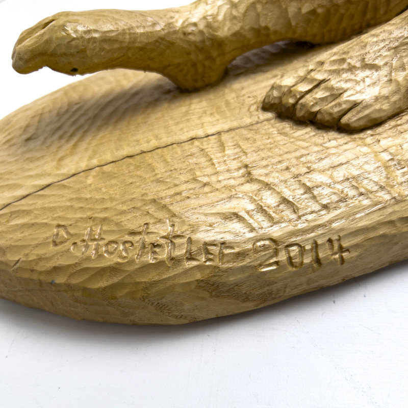 David Hostetler - Robin