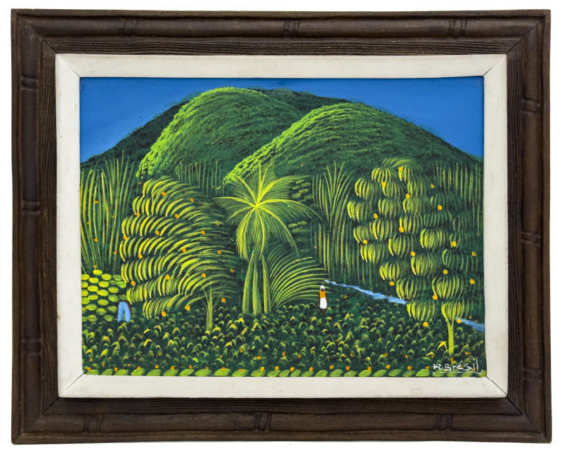 Henri-Robert Brésil - Hillside