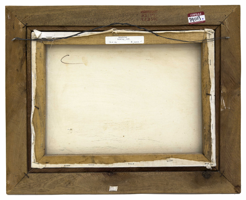 Henri-Robert Brésil - Hillside