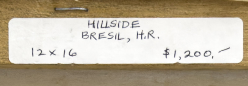 Henri-Robert Brésil - Hillside