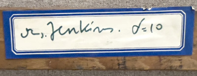 Maud Frances Eyston Sumner - Untitled (Beached)