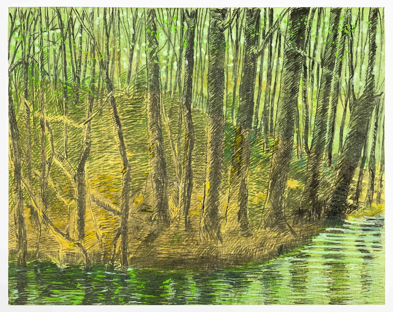 Joseph DiGiorgio - V. S. 6 (from the Virginia Series)