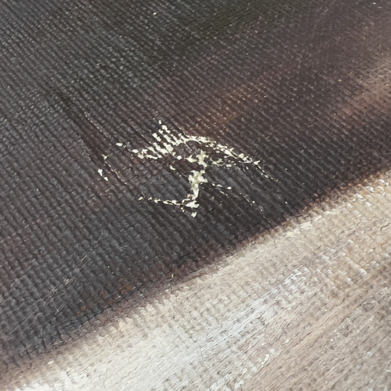 Leon Frias - Pointers in the Snow