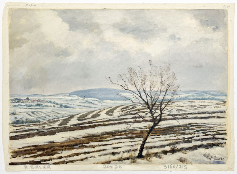 Hubert Bauer - Snowy Distant Village