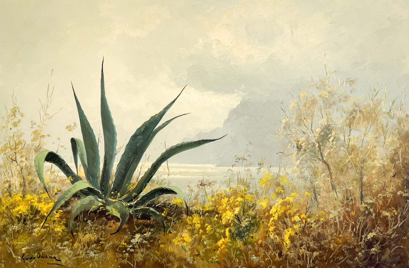 Guido Odierna - Capri