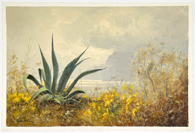 Guido Odierna - Capri