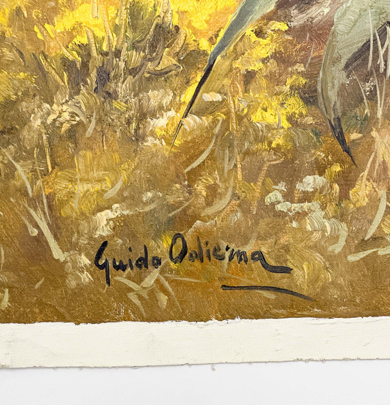 Guido Odierna - Capri