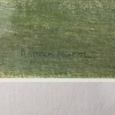 Antonia Munroe - North Road Meadow