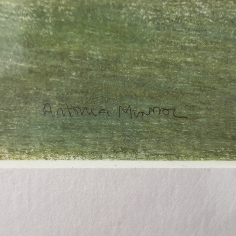 Antonia Munroe - North Road Meadow