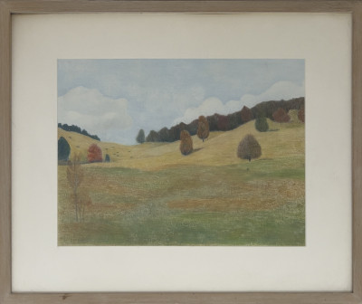 Antonia Munroe - North Road Meadow